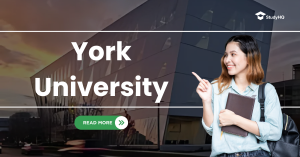 york university
