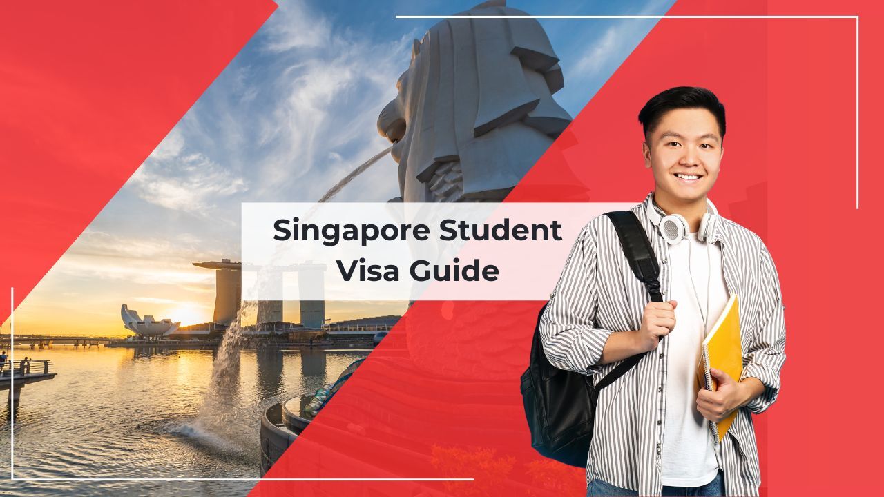 Singapore visual data 4