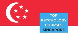 Top Psychology Courses in Singapore 2024- Mastering the Human Psyche